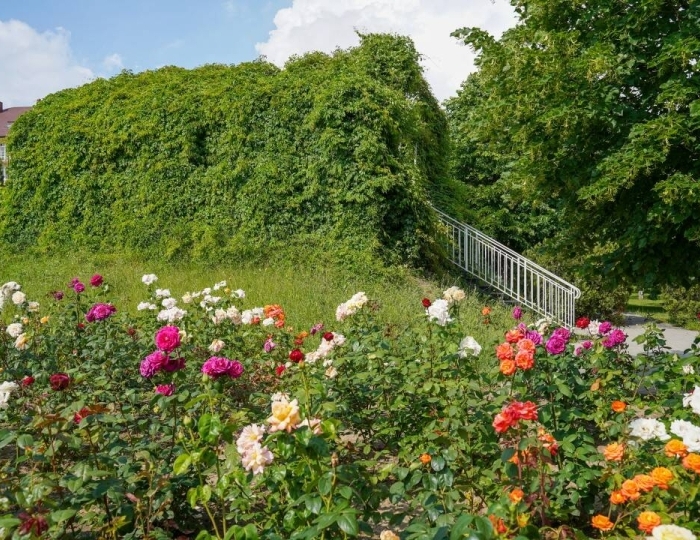 Санаторий «Дюна» Анапа